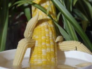 hot steamy hardcore corn